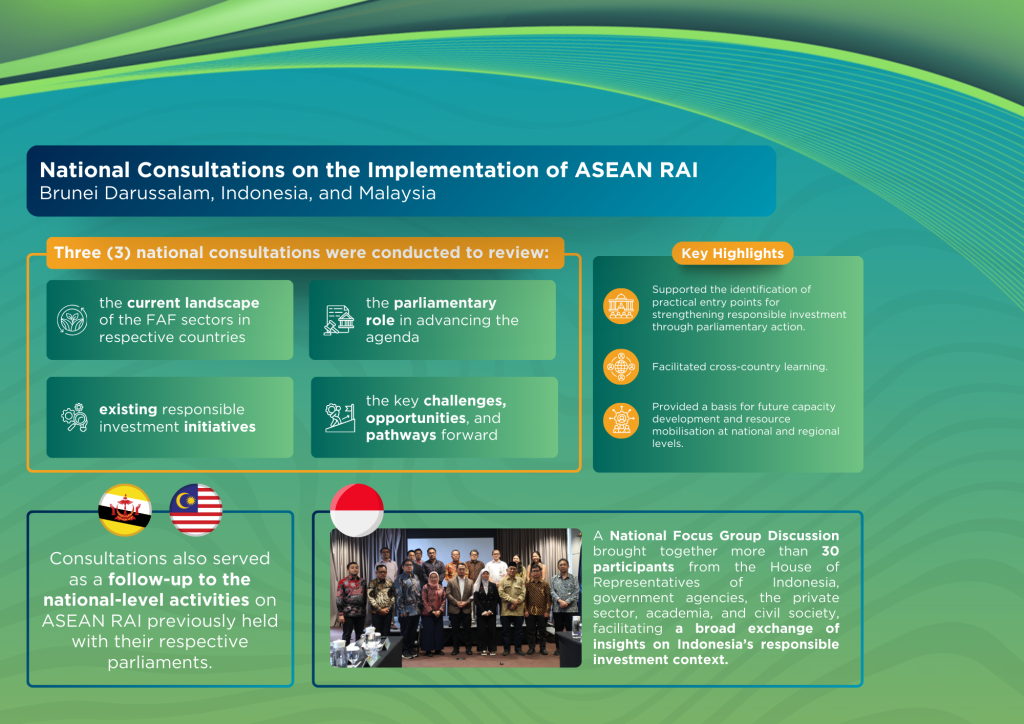 National Consultations on the Implementation of ASEAN RAI